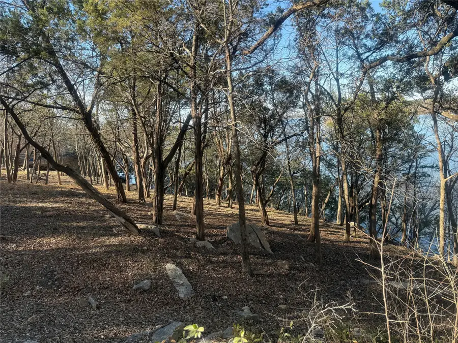 2508 River Ridge Court, Granbury, TX 76048 - Image #3