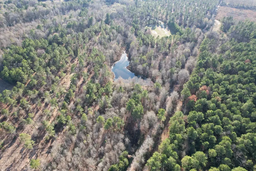 TBD-C County Road 216, Beckville, TX 75631 - Image #2