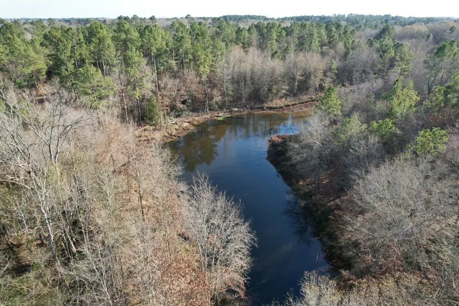 TBD-C County Road 216, Beckville, TX 75631 - Image #3