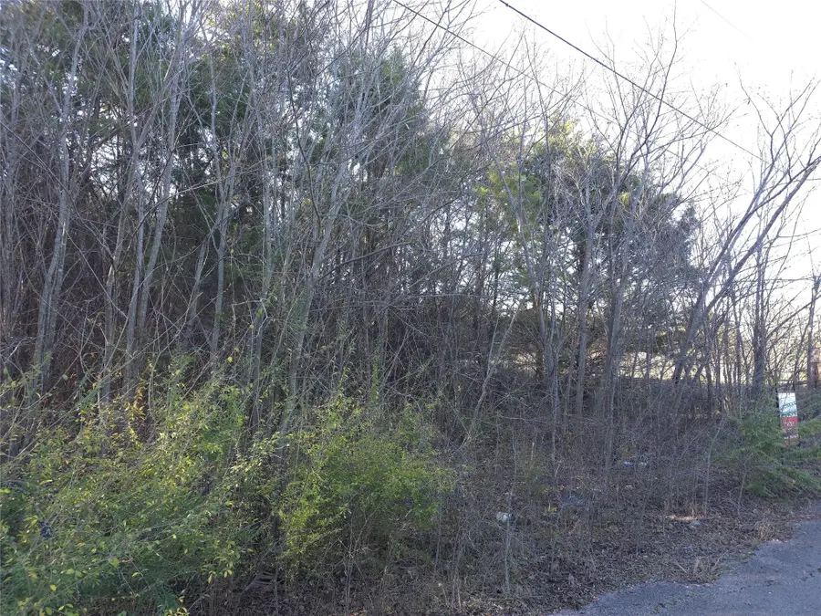 1816 Harrison Street, Greenville, TX 75401 - #3