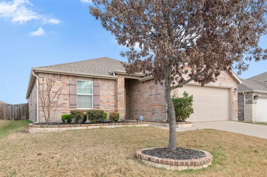 3017 Adrian Creek Drive, Little Elm, TX 75068 - Image #3