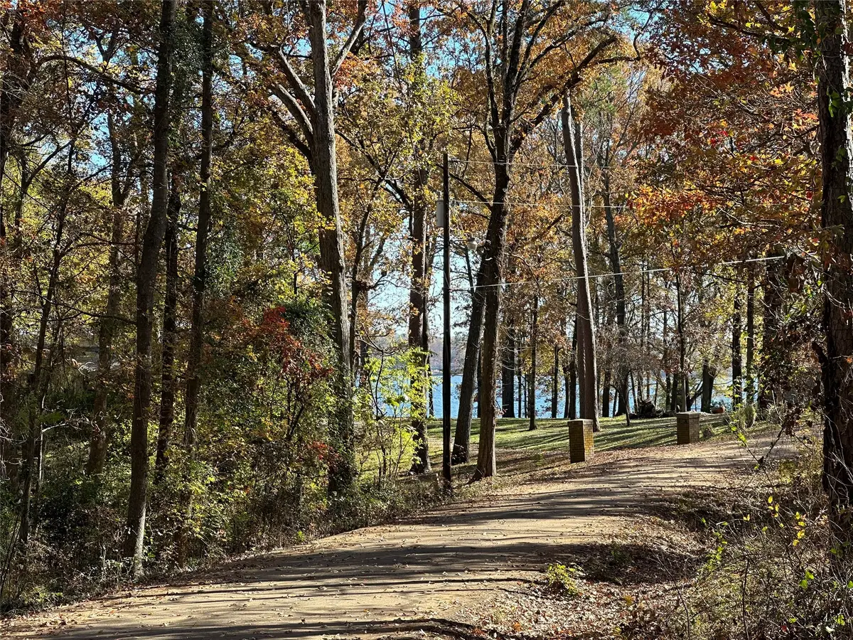 N/A Lot 59 County Road 2938, Pittsburg, TX 75686 - Image #1