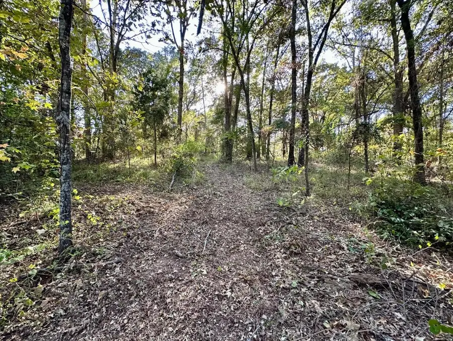 N/A Lot 59 County Road 2938, Pittsburg, TX 75686 - Image #2