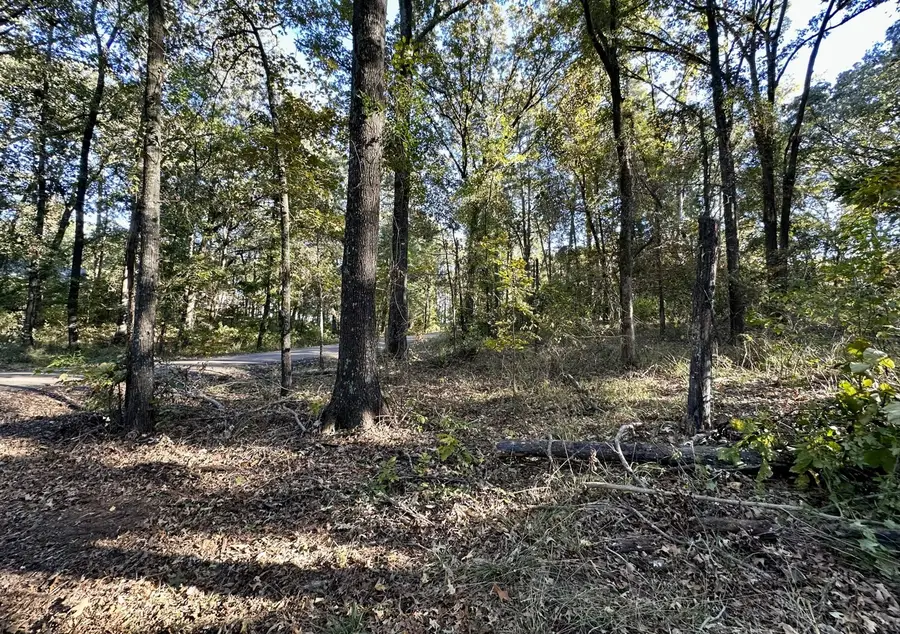 N/A Lot 59 County Road 2938, Pittsburg, TX 75686 - Image #3