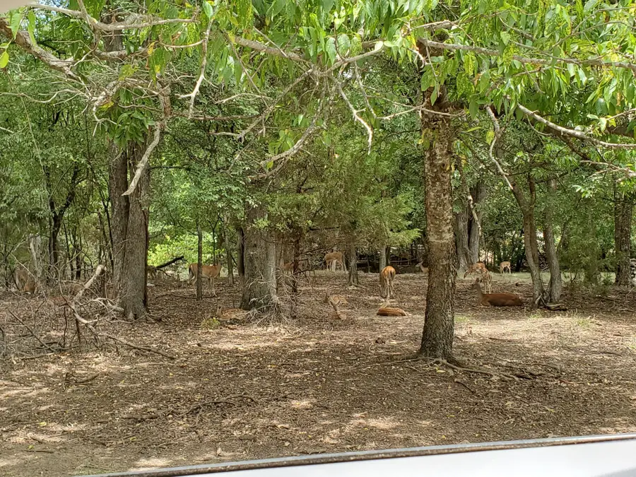 1159 Mikus Road, Weatherford, TX 76087 - Image #3