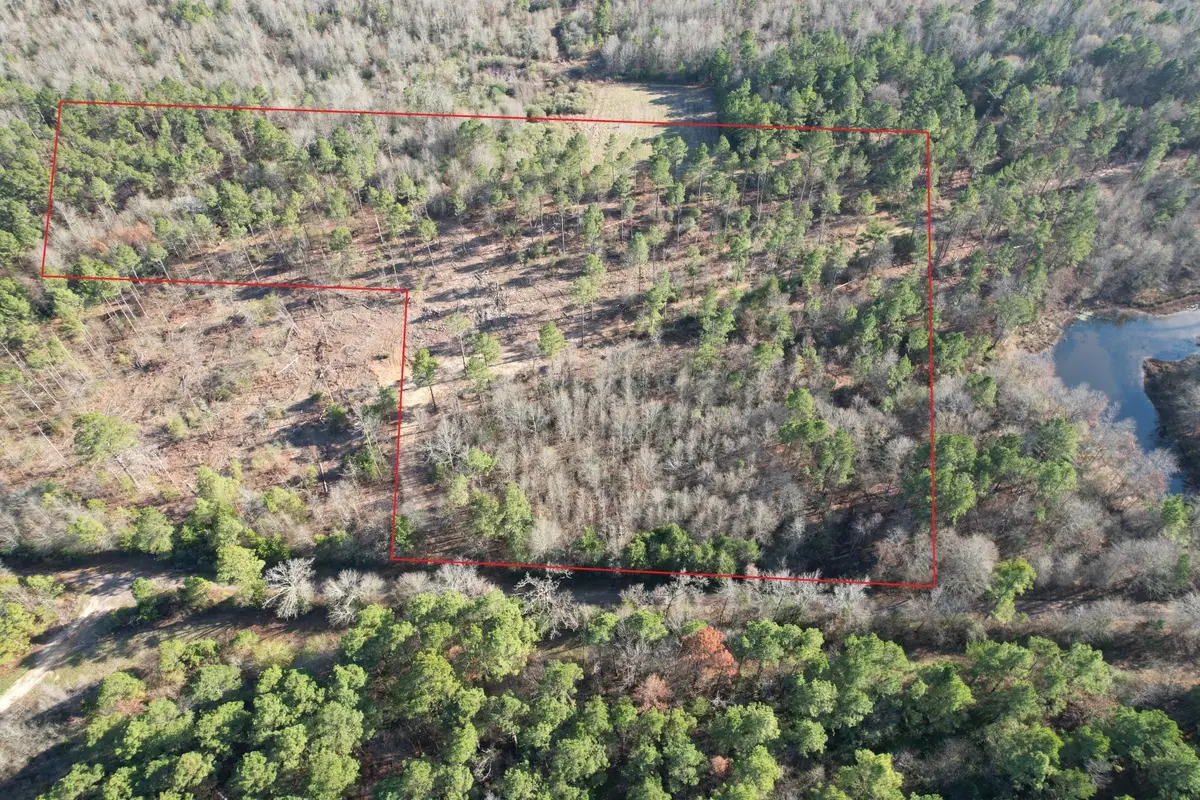 TBD-D County Road 216, Beckville, TX 75631 - Image #1