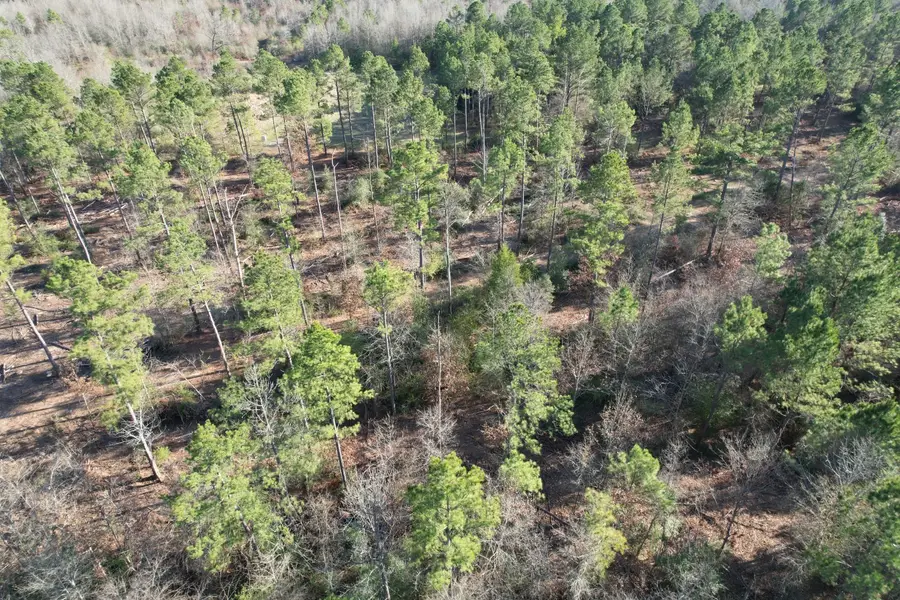 TBD-D County Road 216, Beckville, TX 75631 - Image #2