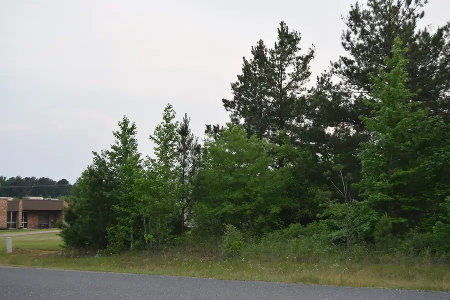 #1 Ryans Way, Minden, LA 71055 - Image #3