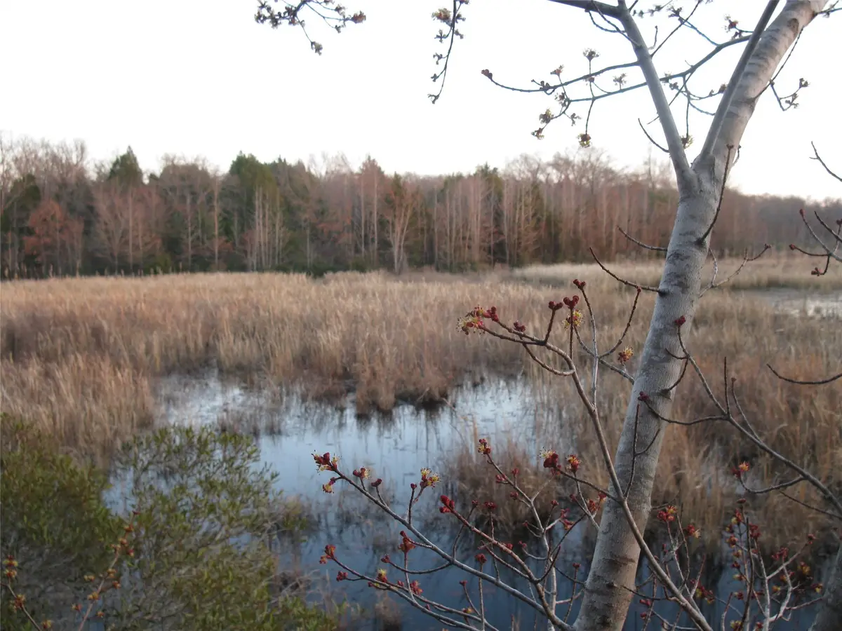 TBD 133 AC +- Vz County Road 4701, Ben Wheeler, TX 75754 - #1