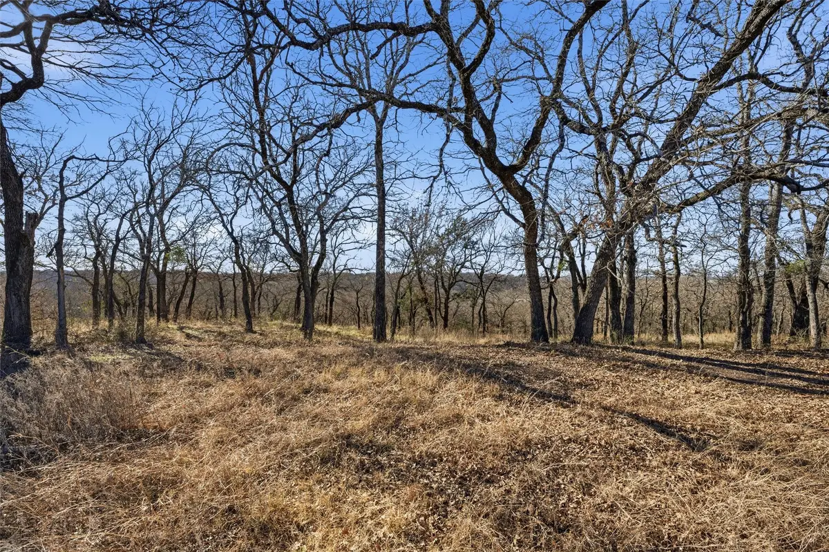 TBD Tokio Road, West, TX 76691 - Image #1