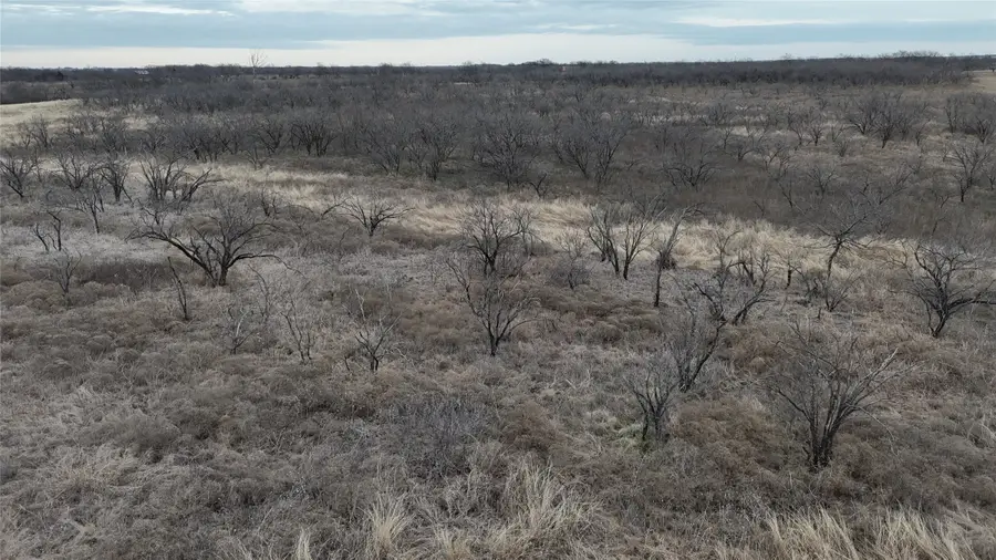 TBD Hcr 3320, Hubbard, TX 76648 - Image #3