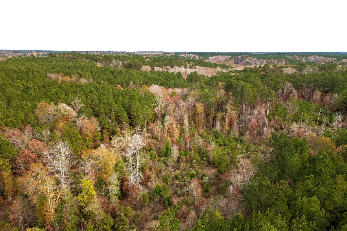 00 County Road 1247, Center, TX 75935 - Image #1