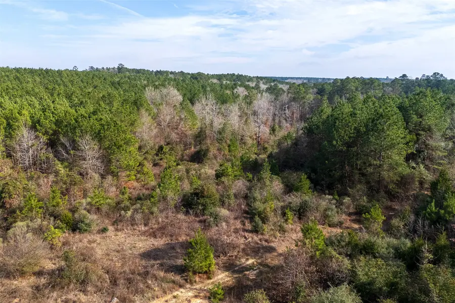 00 County Road 1247, Center, TX 75935 - Image #2