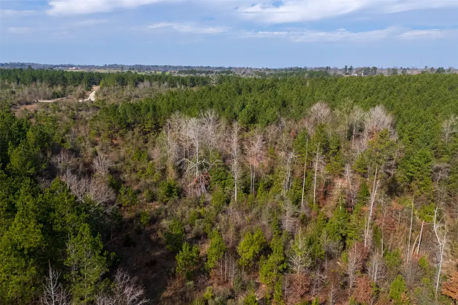 00 County Road 1247, Center, TX 75935 - Image #3