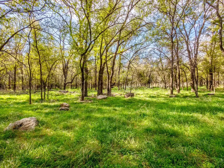 217 County Road 468, De Leon, TX 76444 - #3