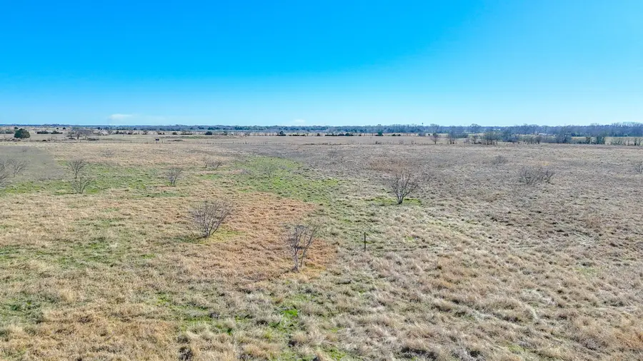 Lot 3 NE Cr 2160, Kerens, TX 75144 - #2