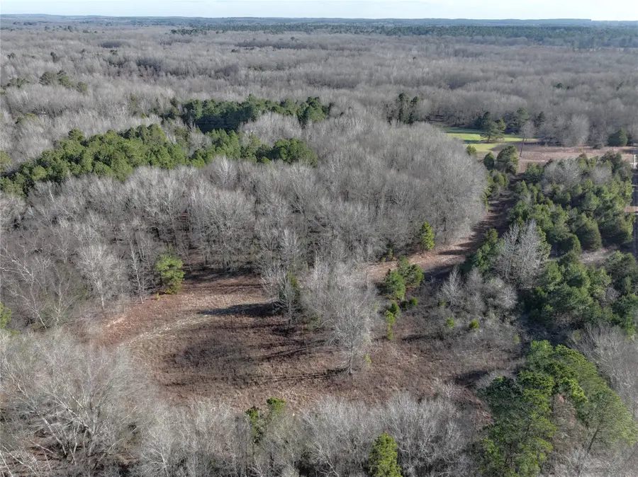 TBD County Road 3170, Quitman, TX 75783 - #3
