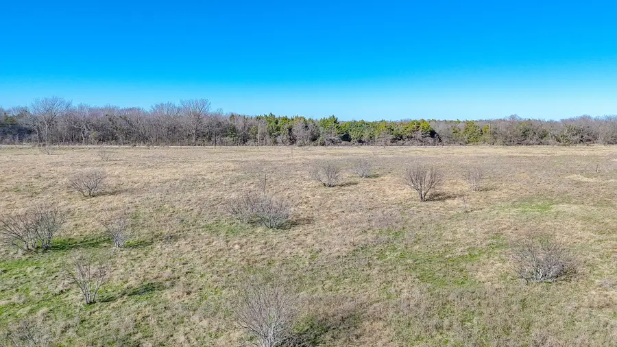 Lot 5 NE Cr 2160, Kerens, TX 75144 - #2