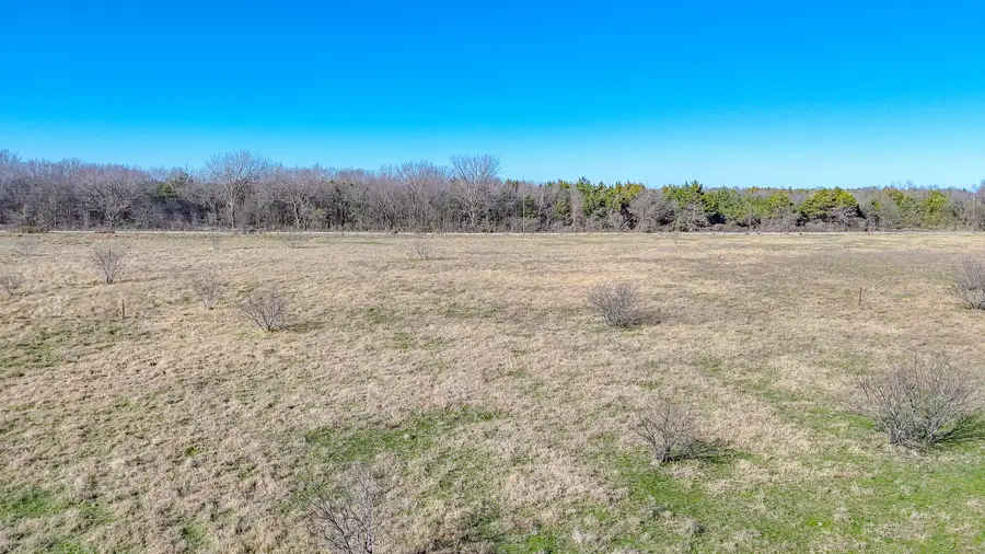 Lot 5 NE Cr 2160, Kerens, TX 75144 - #3