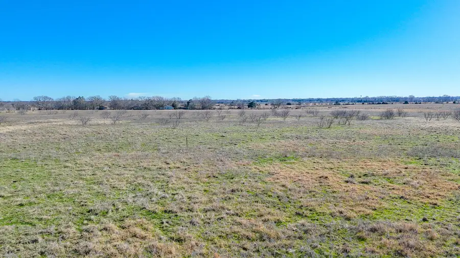 Lot 7 NE Cr 2160, Kerens, TX 75144 - #2