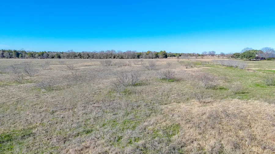 Lot 8 NE Cr 2160, Kerens, TX 75144 - #2