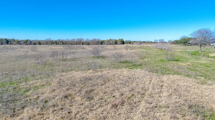 Lot 8 NE Cr 2160, Kerens, TX 75144 - #3