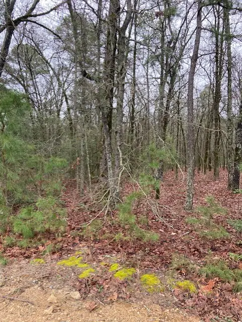 2529 Cr 3540, Hawkins, TX 75765 - #2