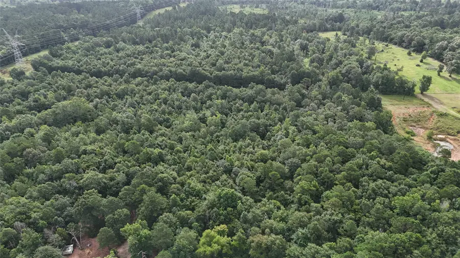 15851 State Highway 135 S, Overton, TX 75684 - Image #3