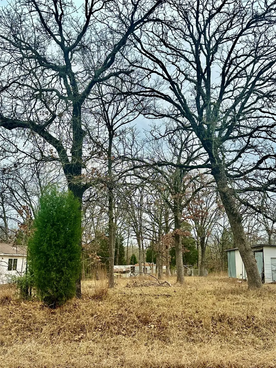 14543 San Jacinto Drive, Log Cabin, TX 75148 - #2