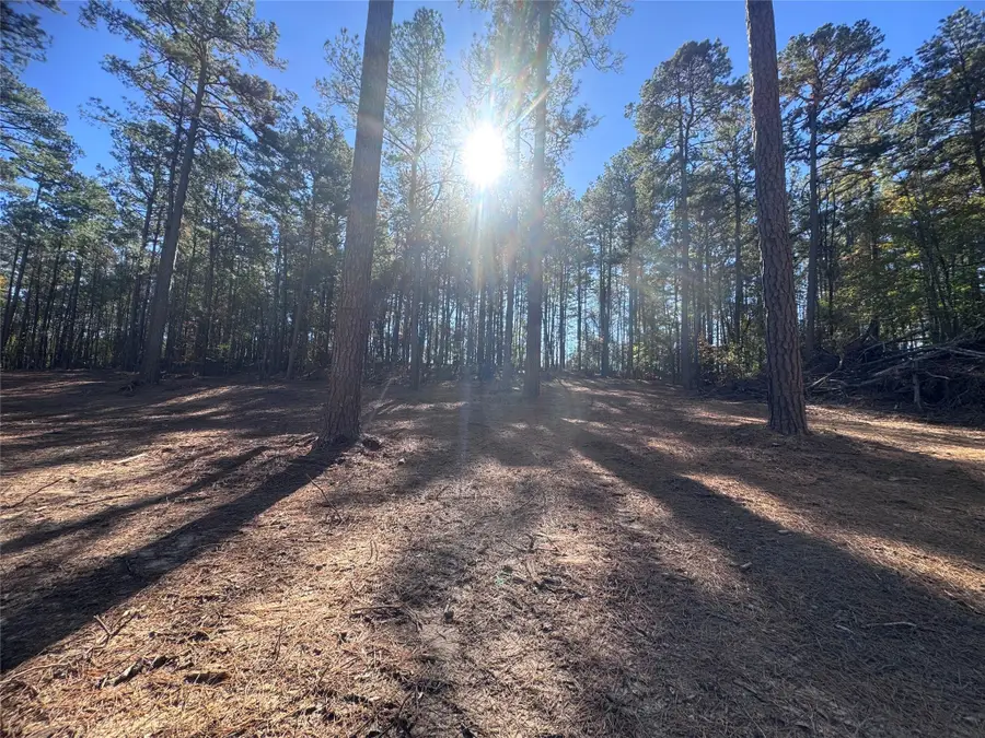 0 Cotton Lane, Minden, LA 71055 - Image #2