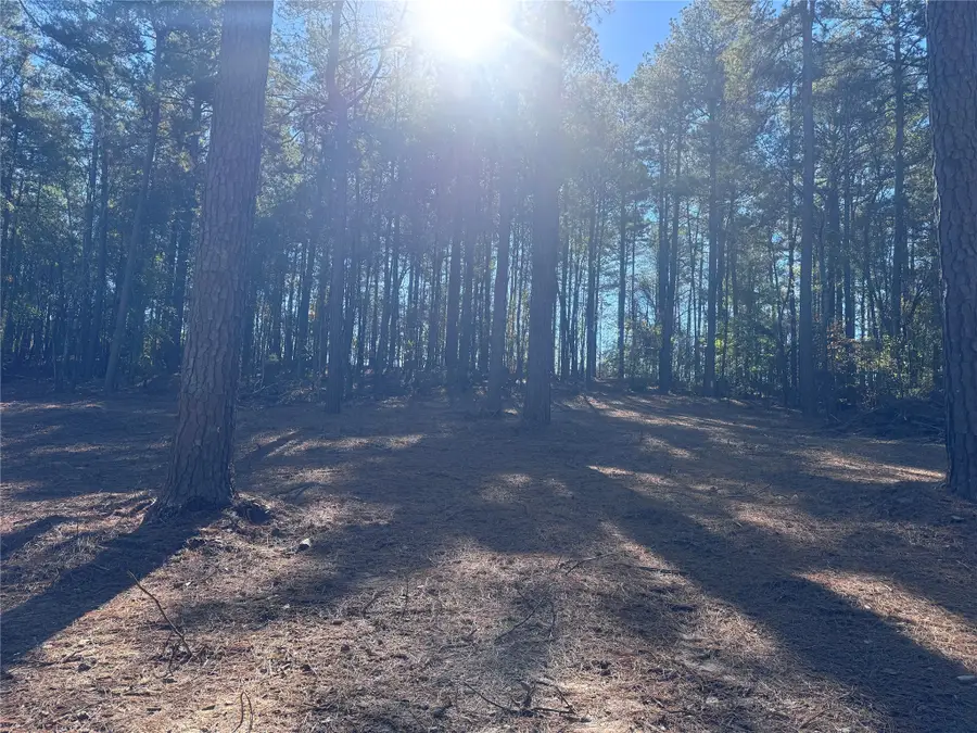 0 Cotton Lane, Minden, LA 71055 - Image #3