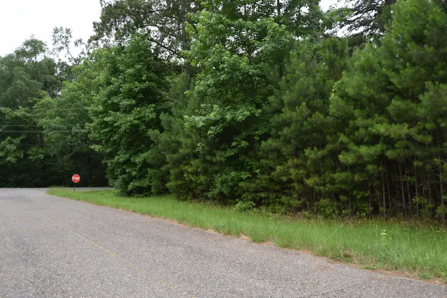 208 Palmetto Drive, Minden, LA 71055 - Image #3