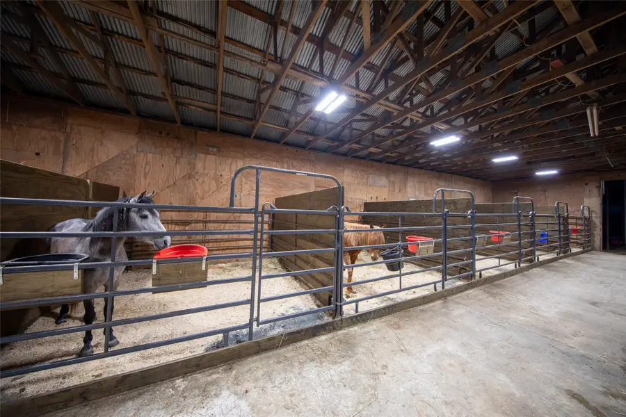 1095 Fm 194, Blossom, TX 75416 - #3