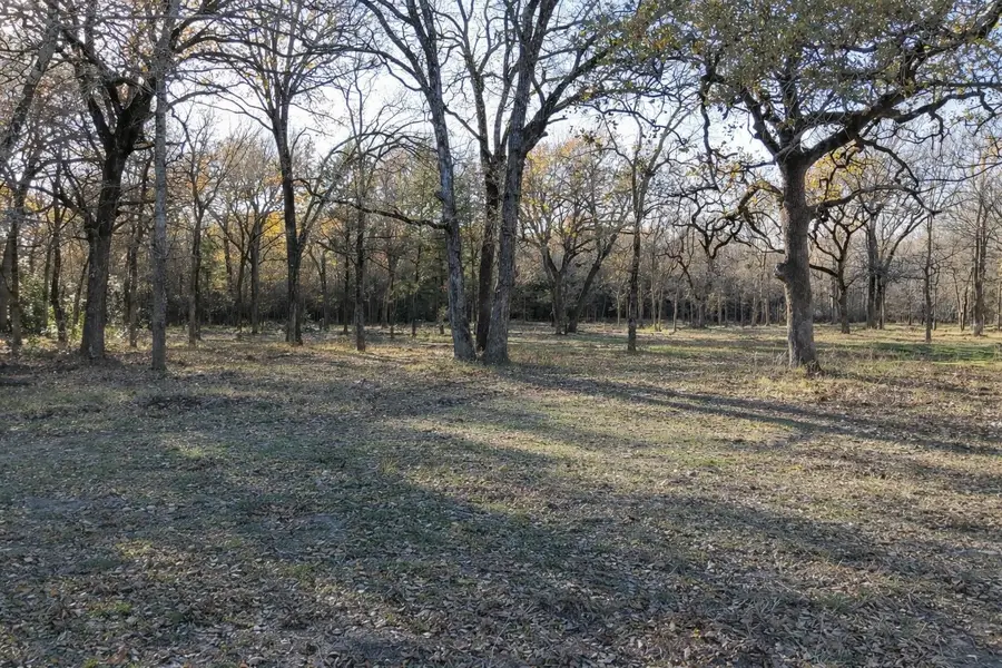 122 Oakmont Drive, Mabank, TX 75147 - Image #3