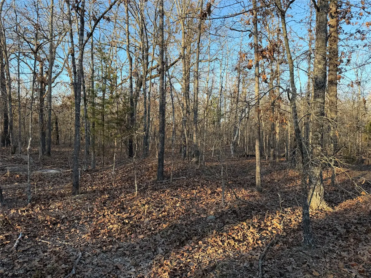 TBD Cr 45610, Blossom, TX 75416 - #1