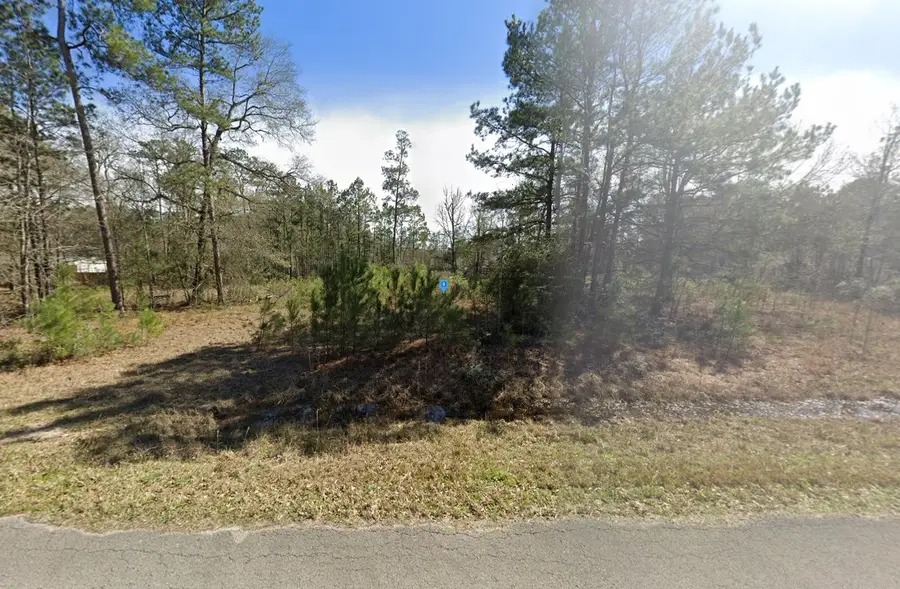 18795 Country Place Drive, Conroe, TX 77302 - #2