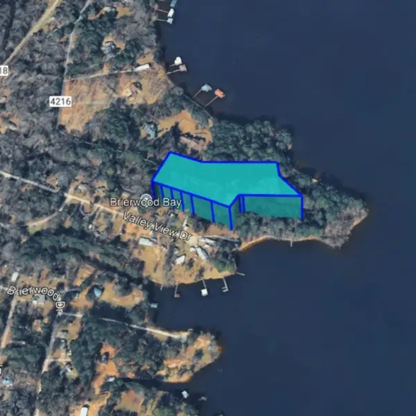 TBD Carene Drive, Frankston, TX 75763