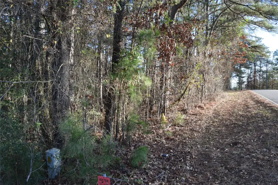 Lot # 21 Timberline Drive, Minden, LA 71055 - #2