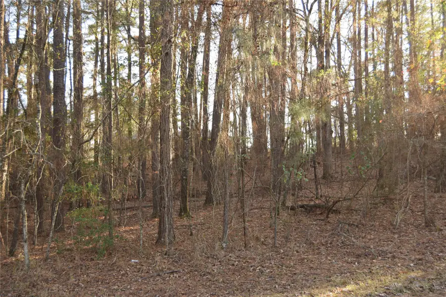 Lot #41 Timberlane Drive, Minden, LA 71055 - #3