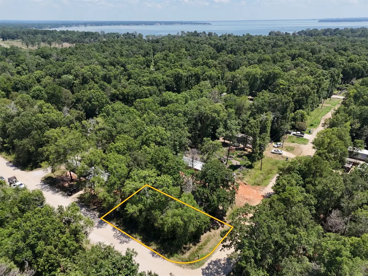Lot 101 Ithica, Livingston, TX 77351 - #1
