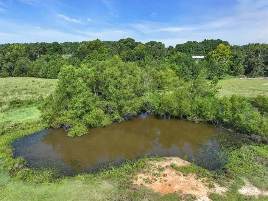 7456 State Highway 198, Canton, TX 75103 - Image #3