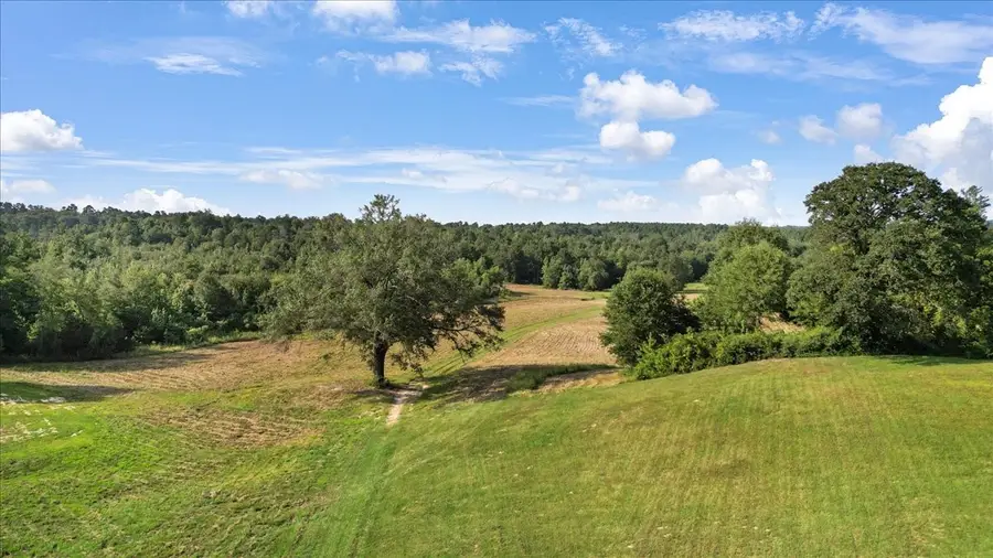 TBD S Live Oak, Gilmer, TX 75644 - Image #2