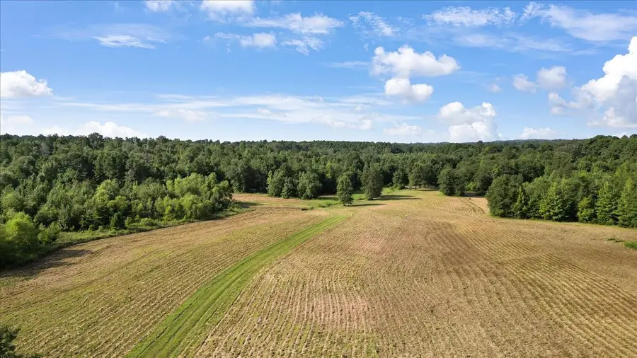 TBD S Live Oak, Gilmer, TX 75644 - Image #3