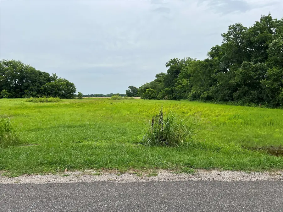 Plot 3 County Road 623, Farmersville, TX 75442 - Image #3