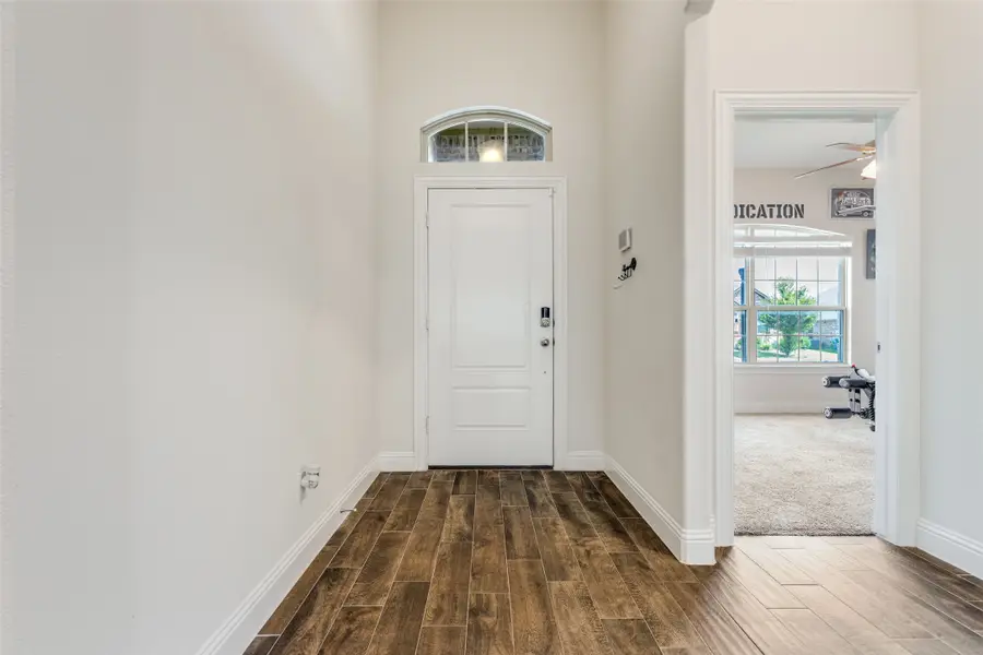 11237 Blaze Street, Aubrey, TX 76227 - #3