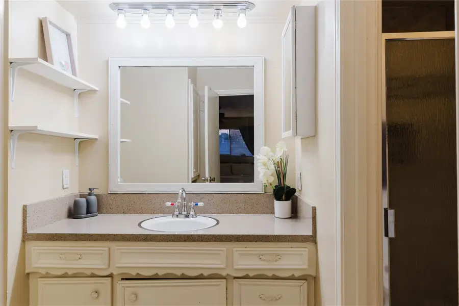 317 Willow Wood Lane, Desoto, TX 75115 - Image #3