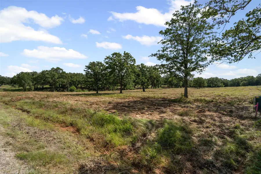 1110 Gonzollas Road, Springtown, TX 76082 - #2
