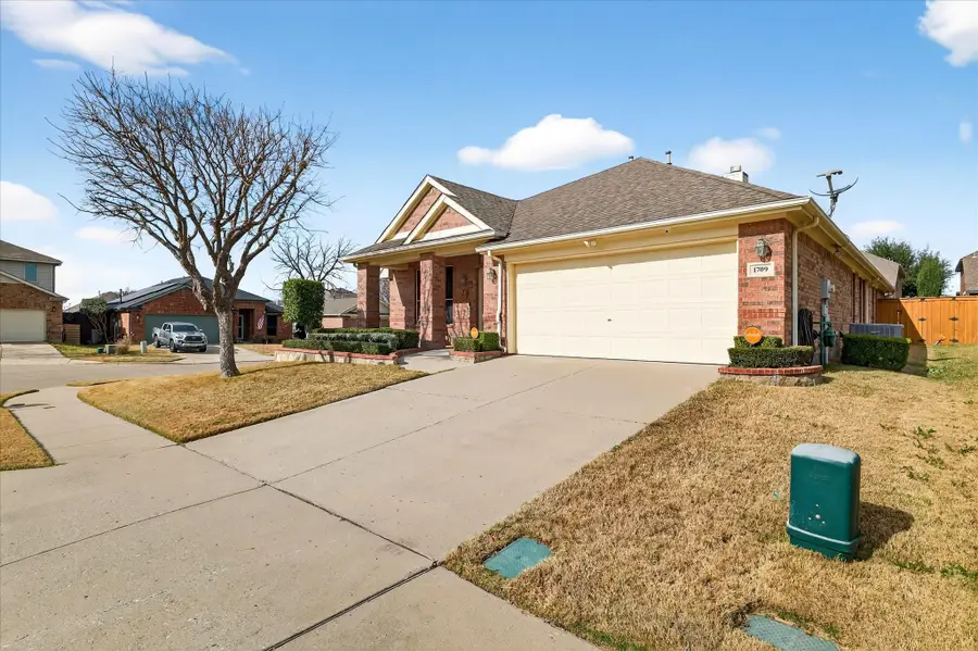 1709 Ringtail Drive, Little Elm, TX 75068 - Image #2