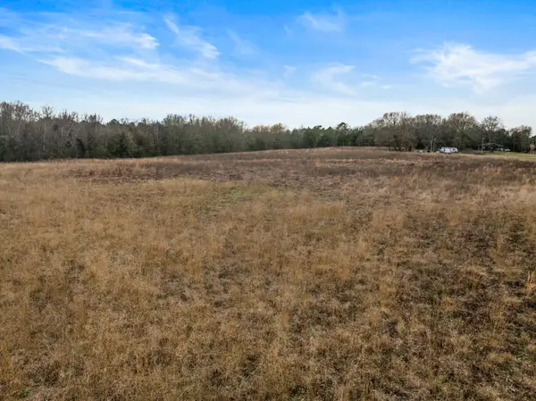 TBD County Road 2212, Pittsburg, TX 75686