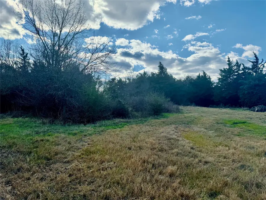 29 Acres County Road 2400, Pickton, TX 75471 - #2